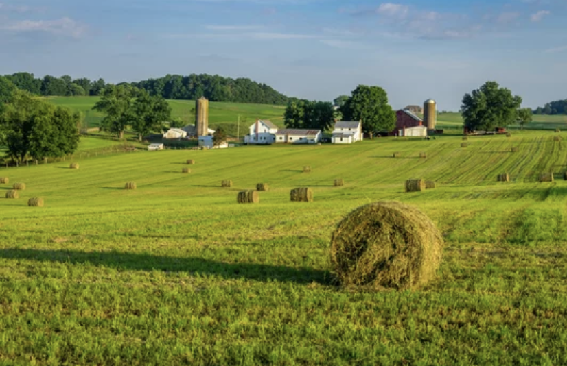 Attractivité du bail rural